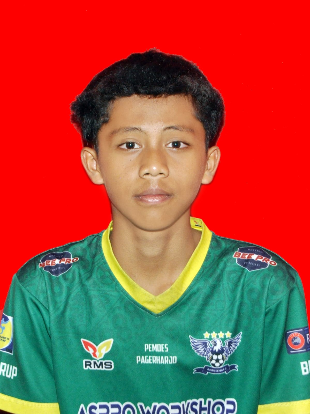 elvino daryl gibran